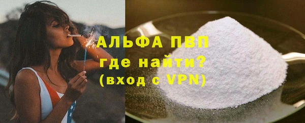 индика Мегион