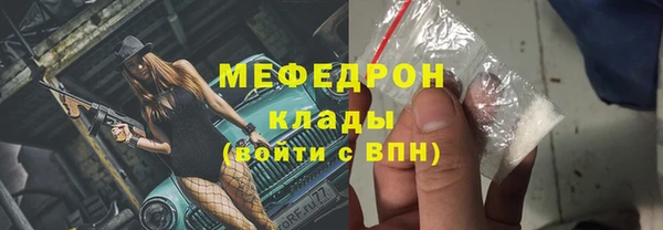 индика Мегион