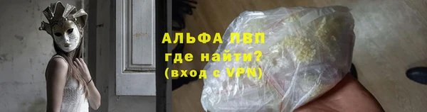 индика Мегион