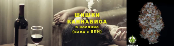 тгк Медвежьегорск