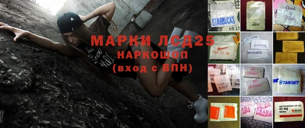 индика Мегион