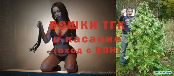 тгк Медвежьегорск
